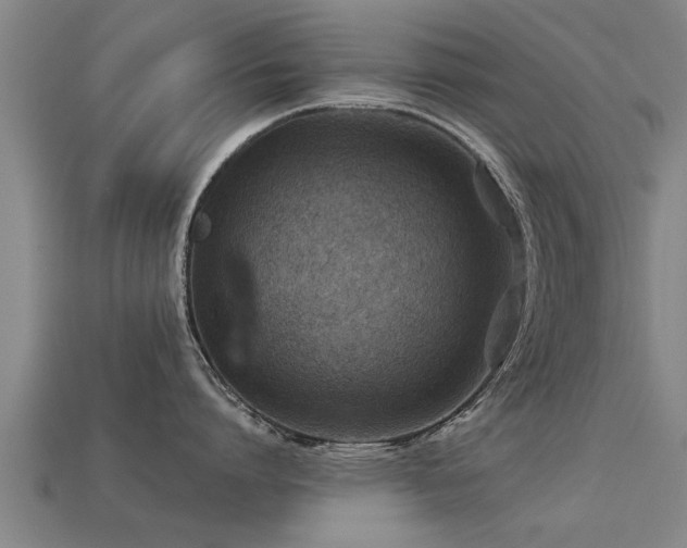 X0000113590864200909251135