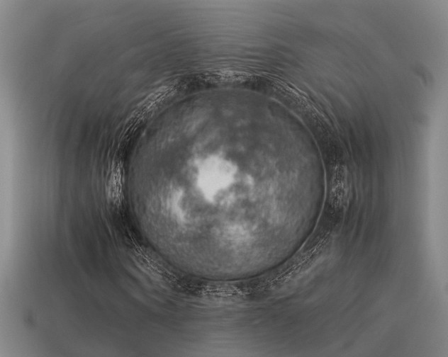 X0000113590866200909251134