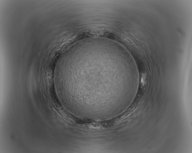 X0000113590867200909251134