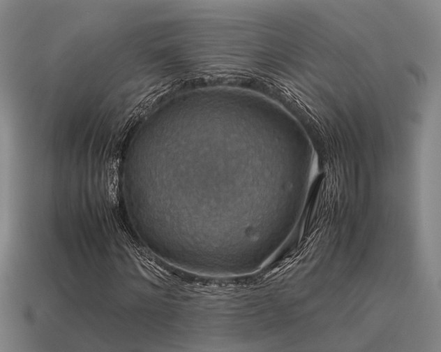 X0000113590868200909251134