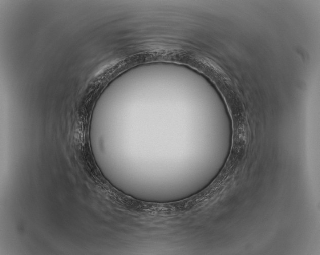 X0000113590869200909251134