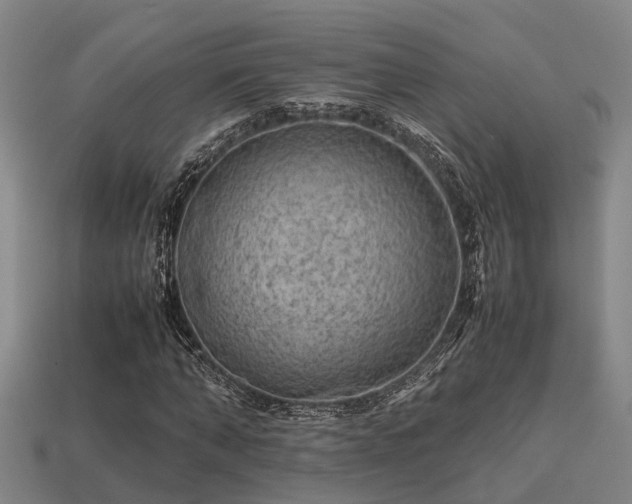 X0000113590870200909251134