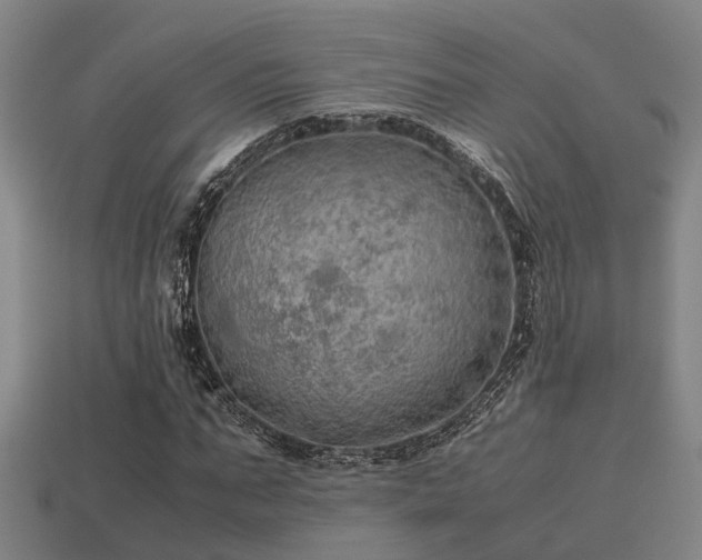 X0000113590871200909251134