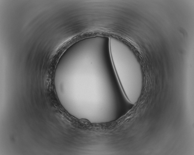 X0000113590872200909251134