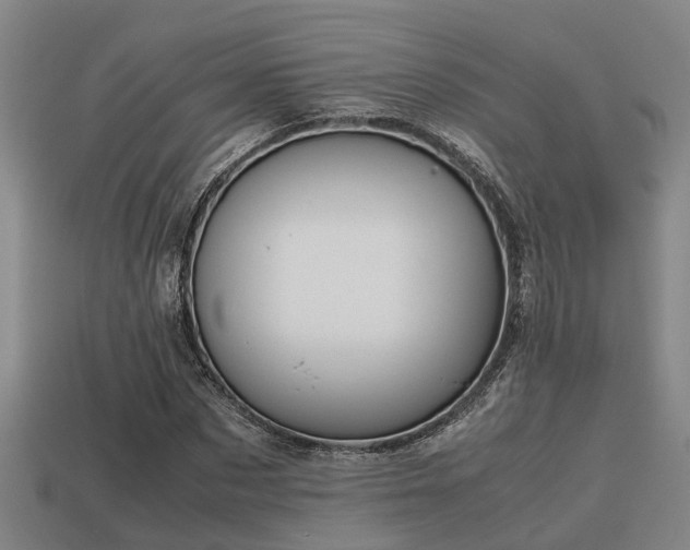 X0000113590873200909251134