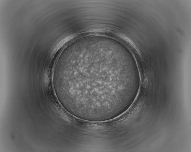 X0000113590874200909251134