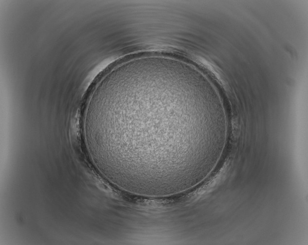 X0000113590875200909251134