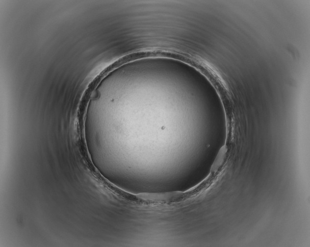 X0000113590876200909251134