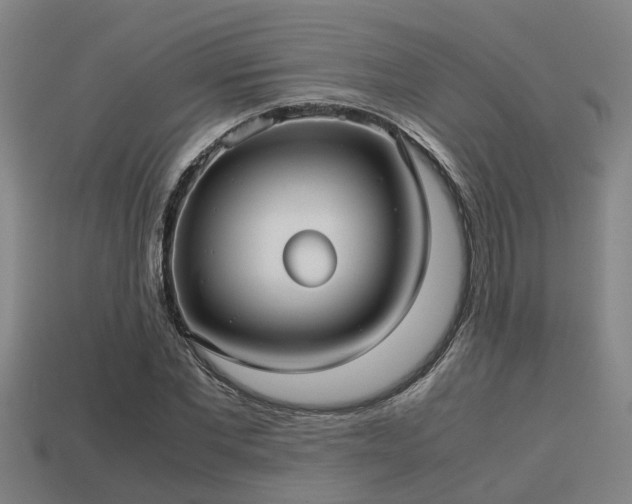 X0000113590877200909251134