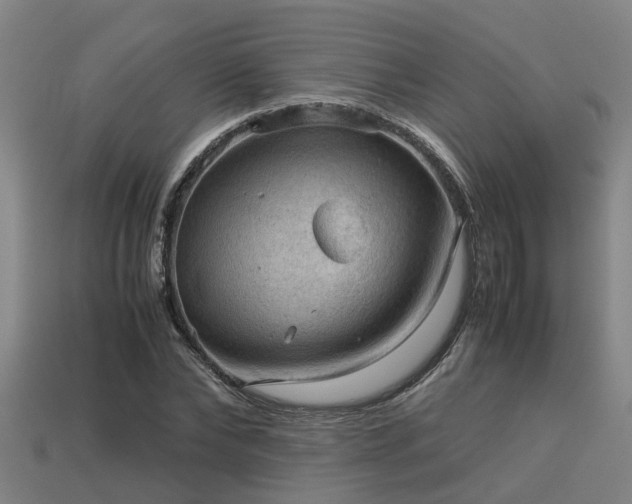 X0000113590878200909251134