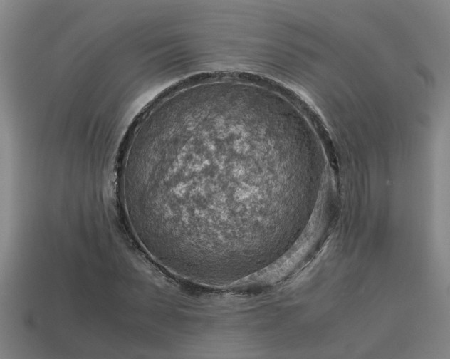 X0000113590879200909251134