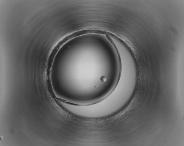 X0000113590880200909251134