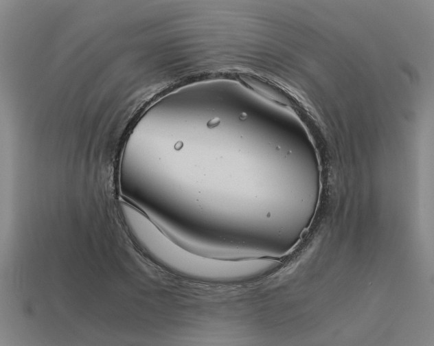 X0000113590881200909251134