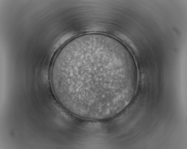 X0000113590882200909251134