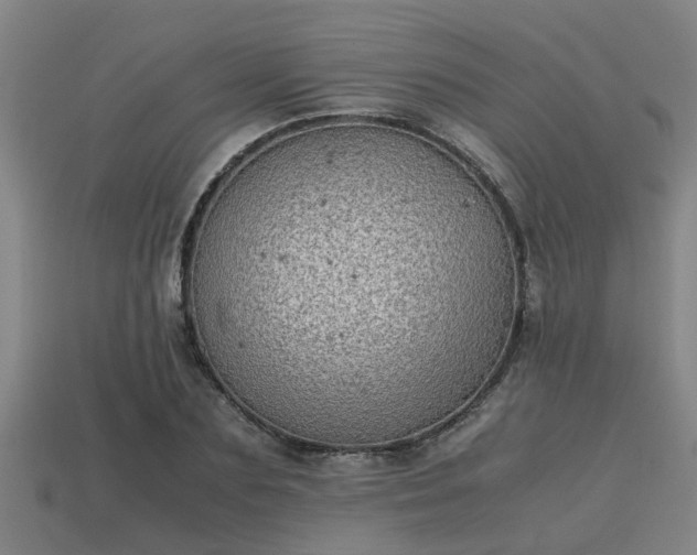 X0000113590883200909251134