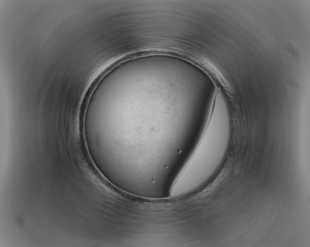 X0000113590884200909251134