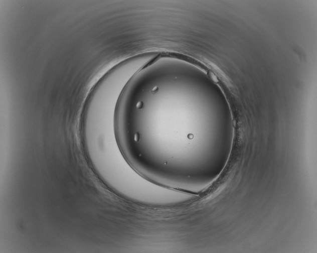 X0000113590885200909251133