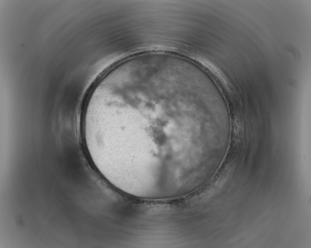 X0000113590886200909251133