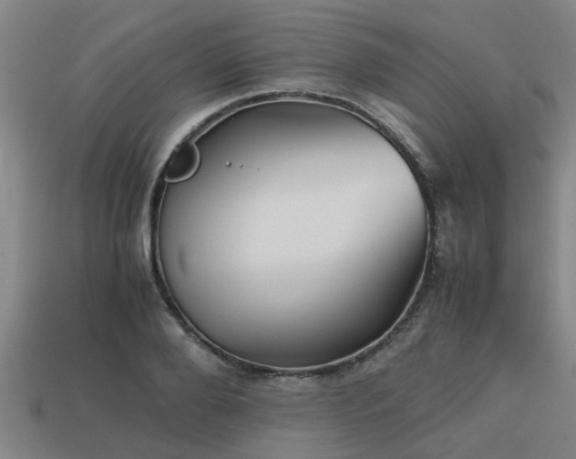 X0000113590888200909251133