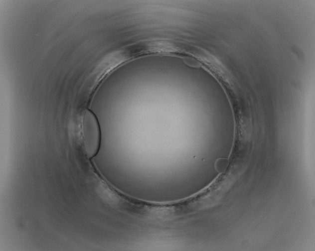 X0000113590889200909251133