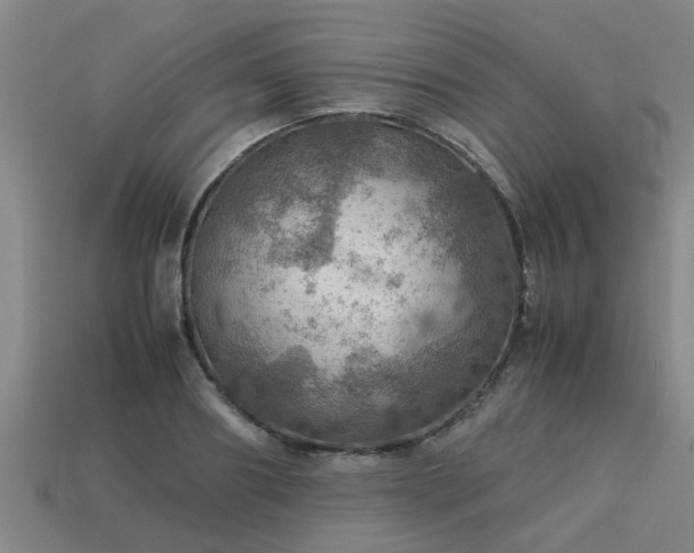 X0000113590890200909251133