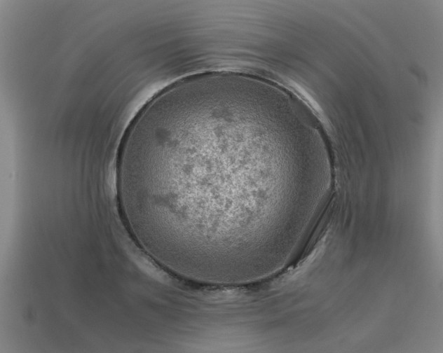 X0000113590891200909251133