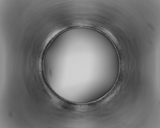 X0000113590893200909251133