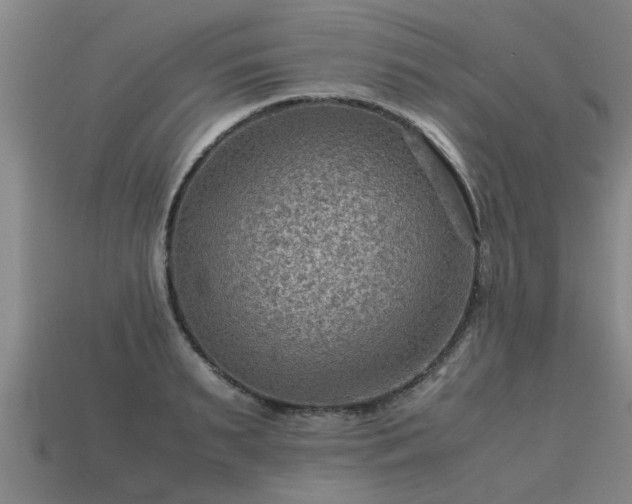 X0000113590895200909251133