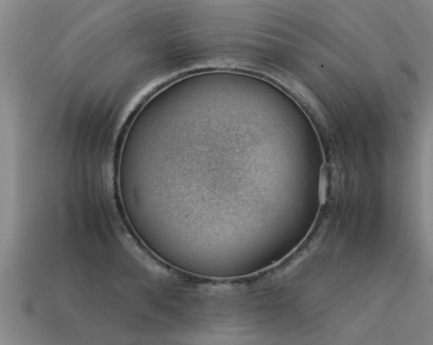 X0000113590896200909251133