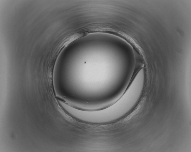 X0000113590897200909251133