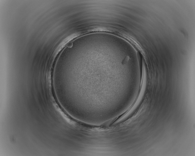 X0000113590898200909251133