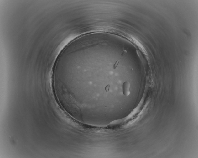 X0000113590899200909251133