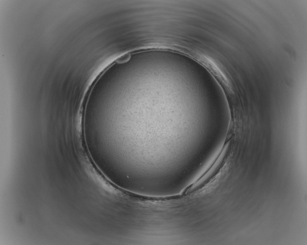 X0000113590900200909251133