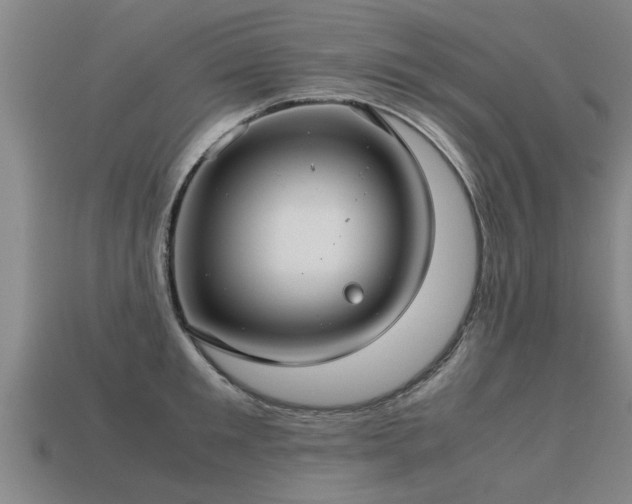 X0000113590901200909251133