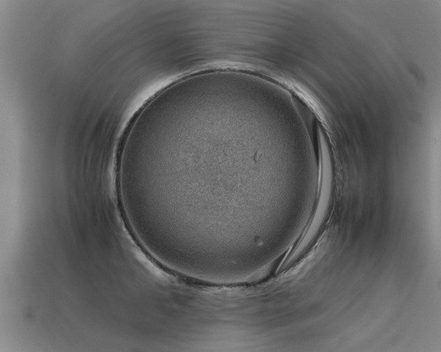 X0000113590902200909251133