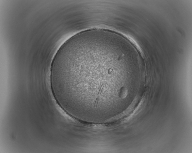 X0000113590903200909251133