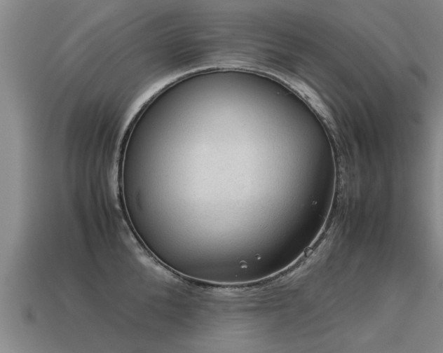 X0000113590904200909251133