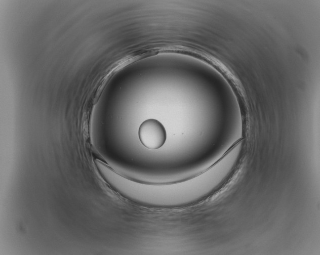 X0000113590905200909251133