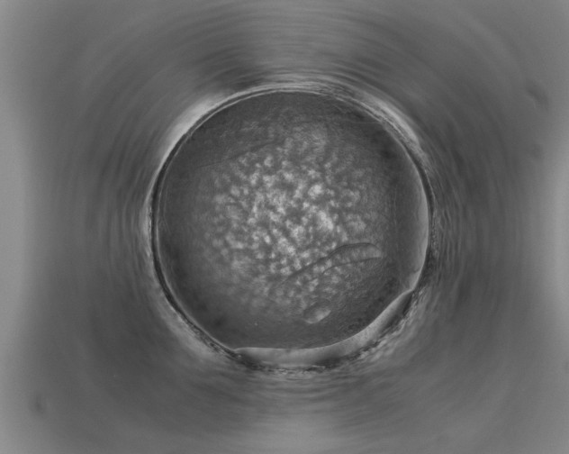 X0000113590907200909251133