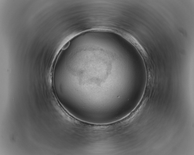 X0000113590908200909251133