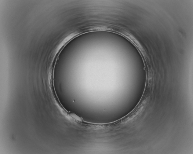 X0000113590909200909251133