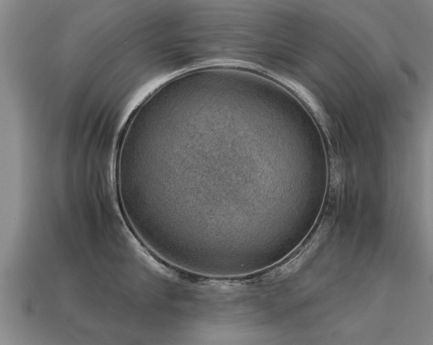 X0000113590910200909251133