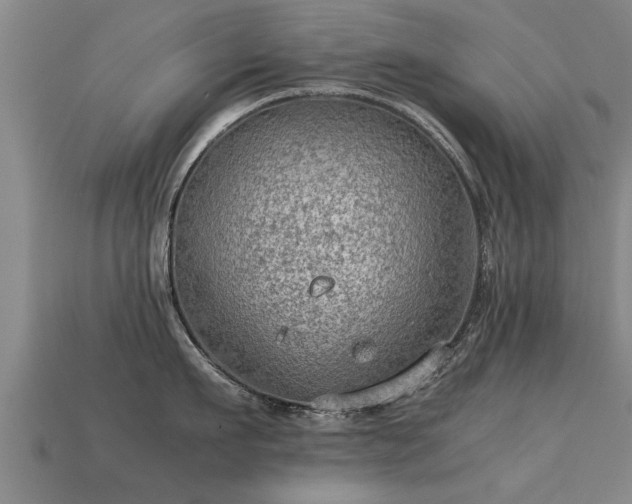 X0000113590911200909251133