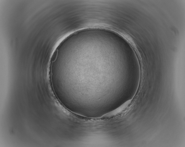 X0000113590912200909251133