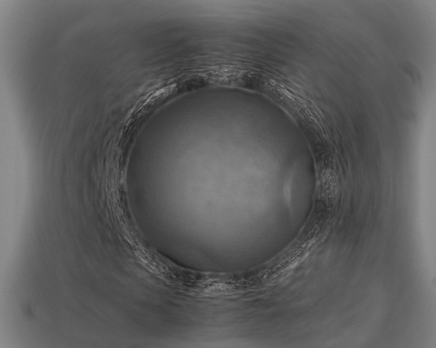 X0000113590913200909251132