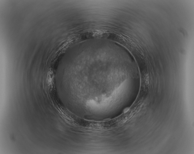 X0000113590914200909251132