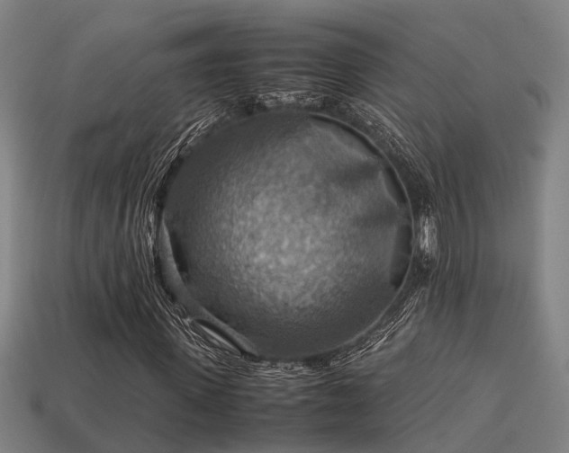 X0000113590915200909251132