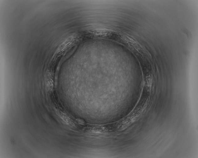 X0000113590916200909251132