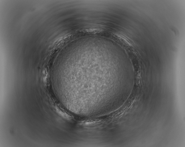 X0000113590917200909251132