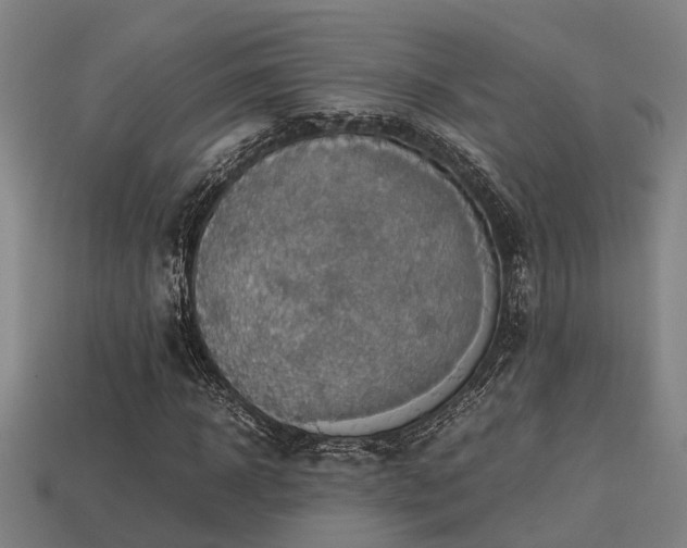 X0000113590918200909251132